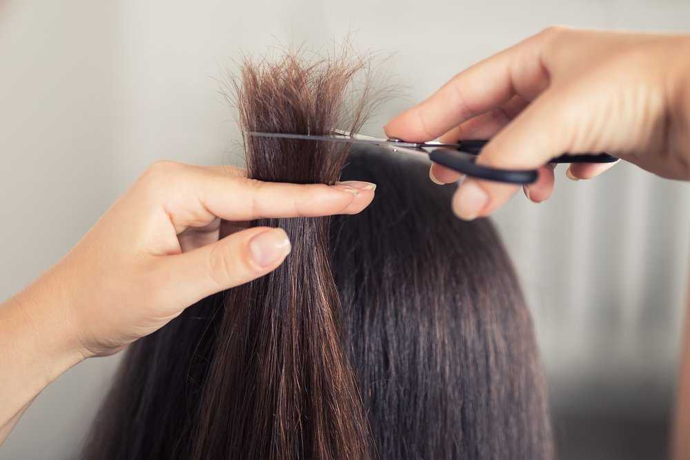Как подстричь волосы если они секутся по всей длине