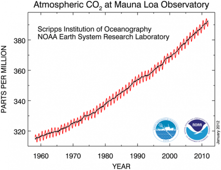 Graph showing increasing Atmospheric CO2 at Mauna Loa Observatory from the 1950
