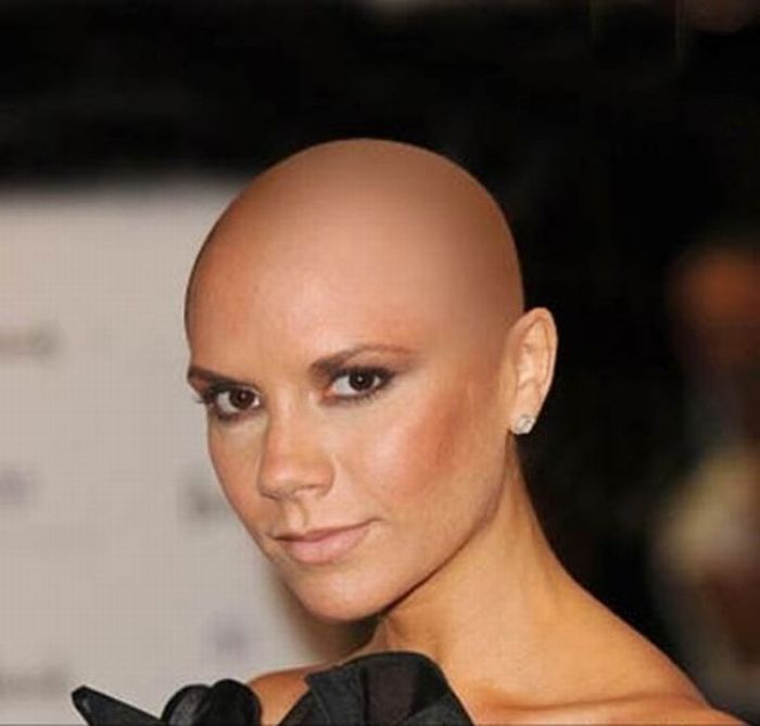 Бритые налысо женщины. Керри уэллис лысая. Victoria Beckham лысый. Деми Мур лысая. Bald - лысый.