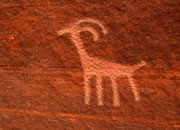 Rock art - petroglyphs