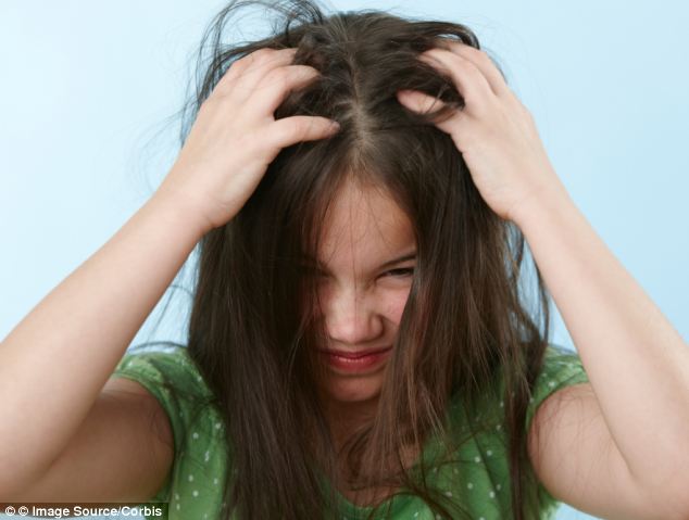 Ordinary hair conditioner is as effective as special products at removing head lice eggs, new research shows