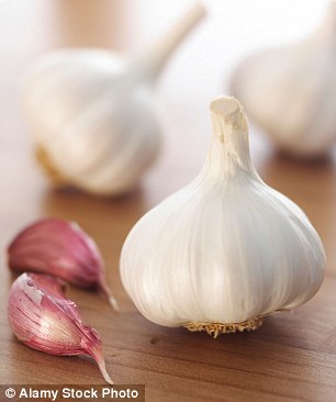 Garlic will help heal hair follicles