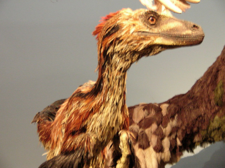 accidental discoveries deinonychus