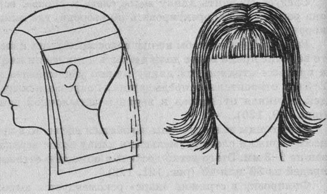 Шаг градуировки. Внешняя градуировка волос. Градуировка внешняя и внутренняя волос. Внешняя градуировка в стрижке. Внешняя градуировка волос схема.