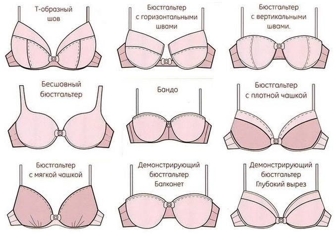 форма груди