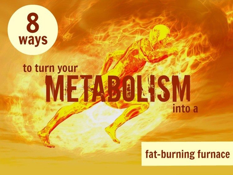 Fat burning metabolism