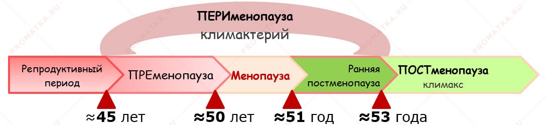 Старший переходный период