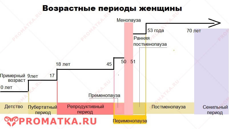 Возрастные периоды женщины