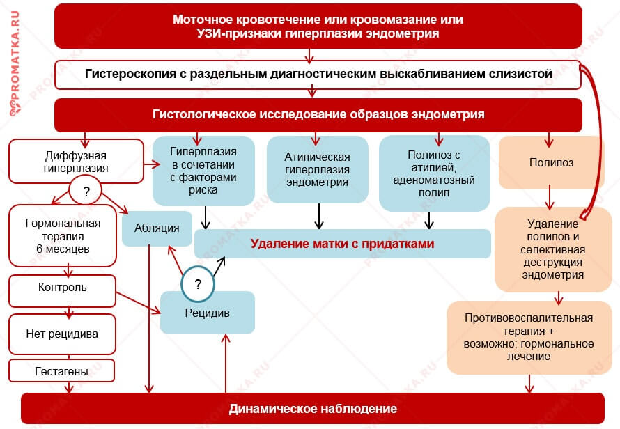 Пути лечения гиперплазии эндометрия в постменопаузе