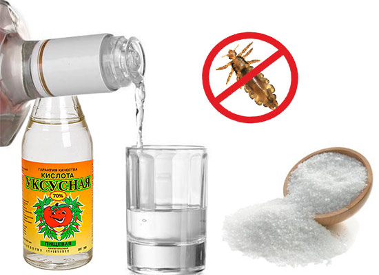 Уксус, водка и соль от вшей и гнид - рецепт и применение