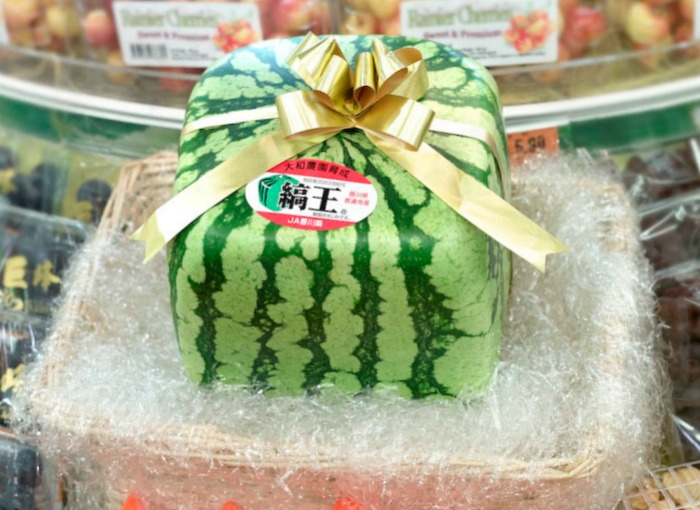 Japanese Square Watermelon