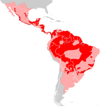 Panthera onca distribution.svg