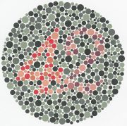 Ishihara Plate 23