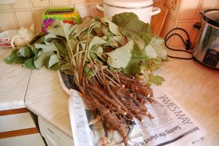 Burdock Root Recipe