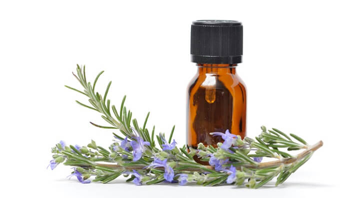 rosemary sprigs and bottle - best essential oils for hair
